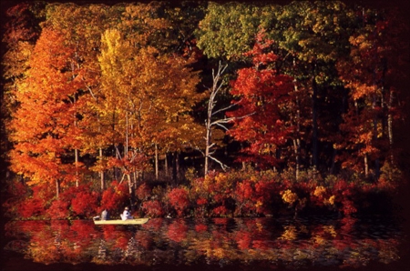 Autumn Lake Forest - lake, forest, boat, trees, nature, autumn