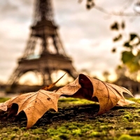 Autumn in Paris