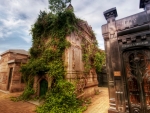 vine covered crypt in a louisiana cemetery hdr