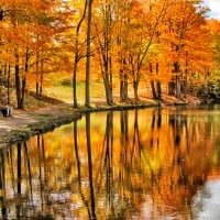 Reflection of Autumn