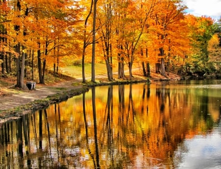 Reflection of Autumn - autumn, fall, lake, reflection, tree, colors