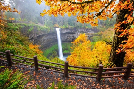 FALL COLORS - autumn, fall, tree, colors, waterfall, foliage