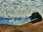 path through the hills under a big sky