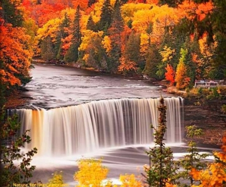 Autumn fall - waterfall, leaves, trees, nature, autumn, colorful