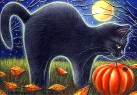 Halloween Wonder - black cat, autumn, pumpkin, animals, spider, moons, halloween, love four seasons, cats, leaves, holiday, paintings, fall season