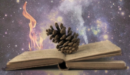 ✎ஐ - acorn, flame, smoke, book