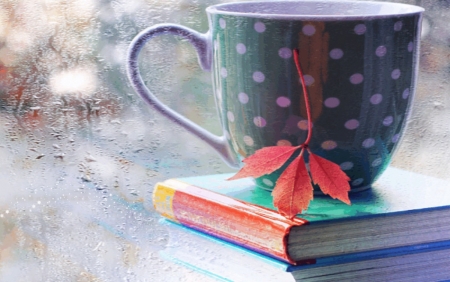 *cup* - books, autumn leaf, cup, rain