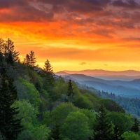 Great Smoky Mountains