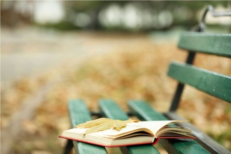 Autumn Memories - leaf, autumn, abstract, book