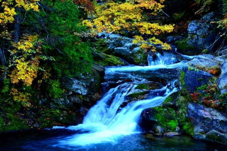 Waterfall - fall, beautiful, waterfall, leaves, branches, blue, autumn