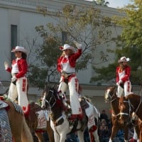 Canadian Cowgirls