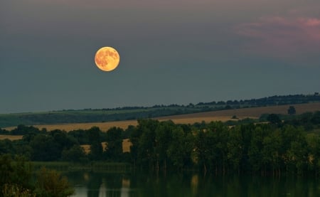 Our Super Moon - moon, super, land, sky