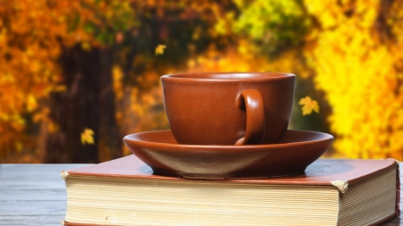 *Cup Of Coffee* - fall, Cup, coffee, book, books, cup