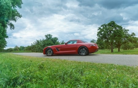 Mercedes-Benz-Sls-Gullwing - custom wheels, sporty, benz, red