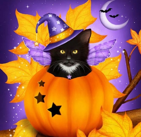 Pumpkin Cat Magic - paintings, fall season, pumpkin, stars, leaves, moons, holiday, autumn, halloween, cats, love four seasons, animals