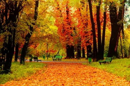 Autumn park - beautiful, walk, rest, leaves, fall, path, colorful, autumn, serenity, bench, peaceful, foliage, park