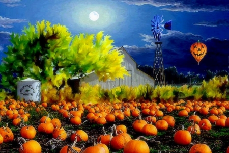 Moonlit Pumpkin Patch - attractions in dreams, autumn, draw and paint, balloon, moons, pumpkins, halloween, fall, love four seasons, paintings, farms