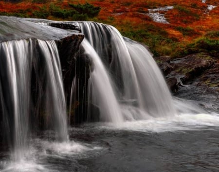 Waterfall - fall, branches, waterfall, beautiful, autumn, leaves