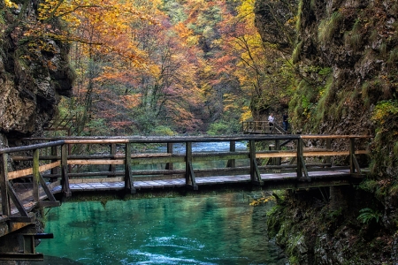 Autumn River - fall, trees, water, season, colors, bridge