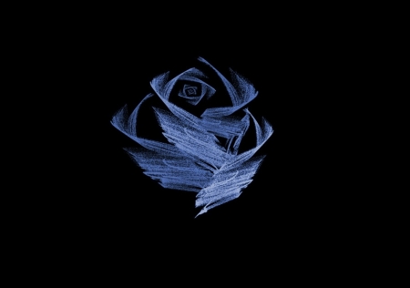 Blue Rose - rose, flower, blue, fractal