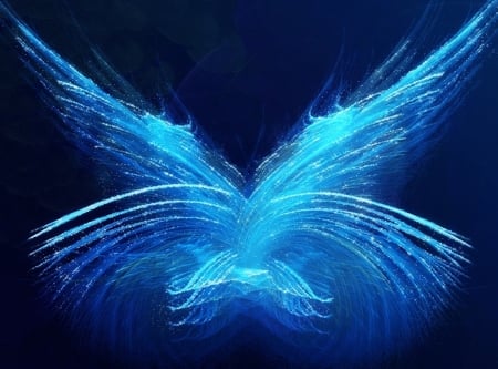 Butterfly - fractal, butterfly, ilussion, blue