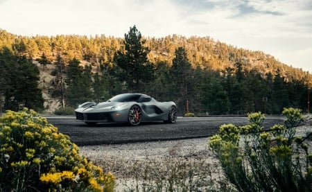 Ferrari-LaFerrari - gray, road, ferrari, custom wheels