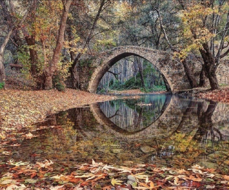 Fall reflection - fall leaves, water, nature, reflection, park, bridge