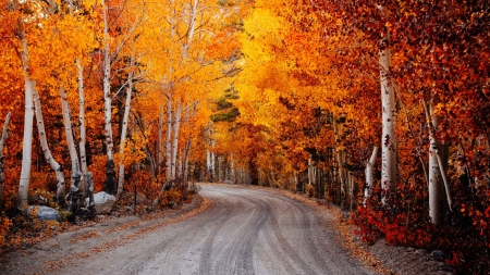 California Autumn F2C - wide screen, autumn, california, photography, beautiful, scenery, photo, usa