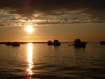 Sunset on the Boats