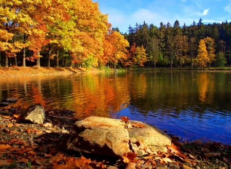 Autumn day - forest, fall, foliage, beautiful, lake, pond, reflection, trees, colors, day, autumn