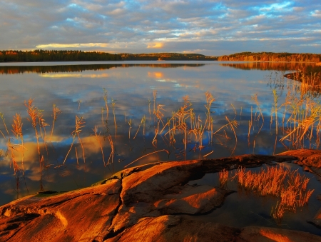 Orange glow - orange, glow, autumn, dusk