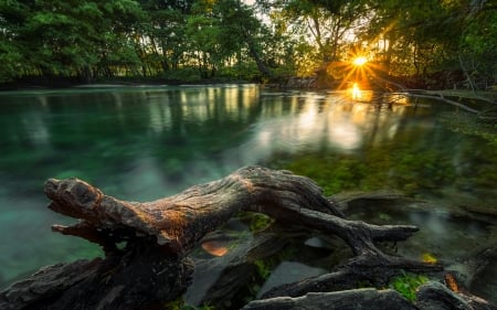 Lake Sunset - trunk, trees, sun rays, water, beautiful, tranquil, sunset, lake, foliage