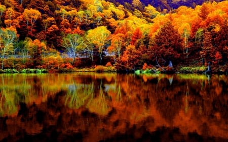 Autumn reflections - trees, beautiful, tranquil, colors, forest, reflection, shore, autumn, serenity, lake