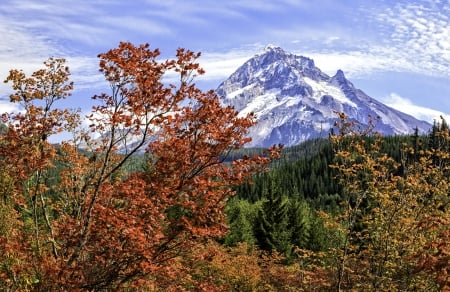 Mountains in Autumn - wilderness, landscape, trees, leaves