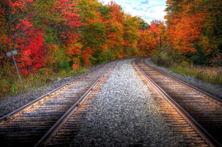 Double Track - season, autumn, railways, fall, trees, leaves, colors