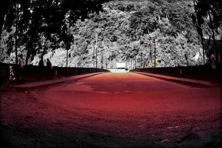 Red Bridge - construction, bridge, road, tress