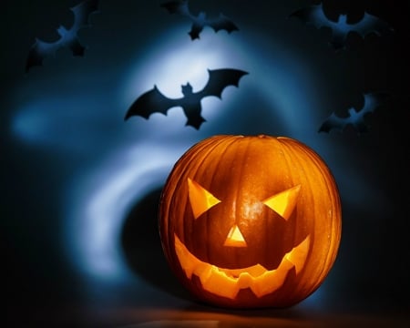 Halloween Pumpkin - abstract, bats, Halloween, pumpkin