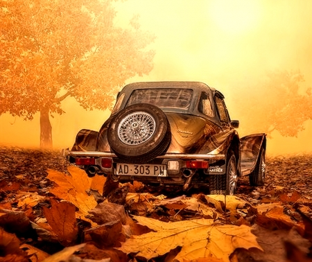 Car in Autumn - Car, Autumn, Leaves, Nature