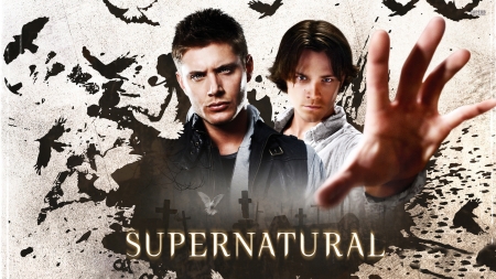 Supernatural - tv series, dean winchester, sam winchester, supernatural