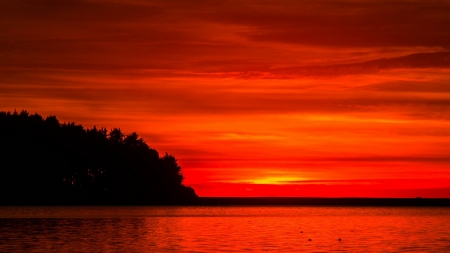 Beautiful Sunset - lake, forest, trees, clouds