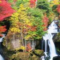 Autumn Waterfalls