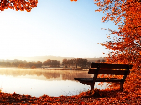 pond view - view, fall, lake, autumn, pond