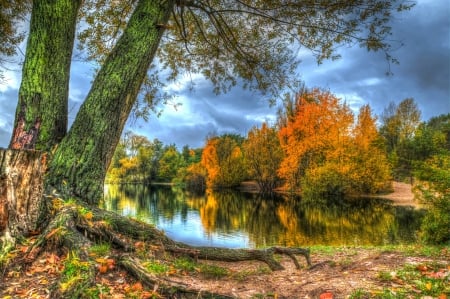 autumn lake - fall, water, autumn, lake, colors, tree