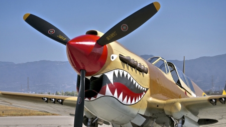 P40 Warhawk F1 - fighter, P40 Warhawk, beautiful, photography, military, World War II, photo, wide screen, WWII, aircraft