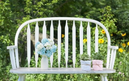 Still Life - pot, flowers, bench, still life