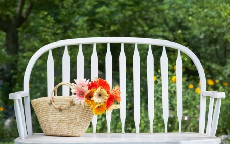 Still Life - bench, basket, flowers, still life