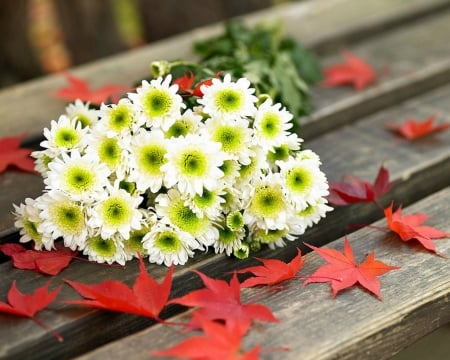 Bouquet - flowers, maple, bouquet, leaves