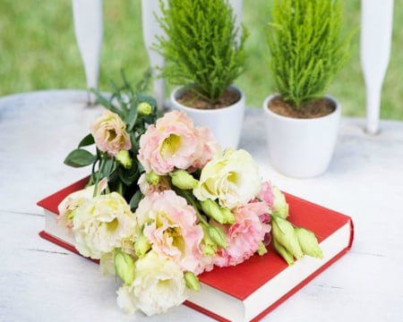 Still Life - flowers, pots, still life, book