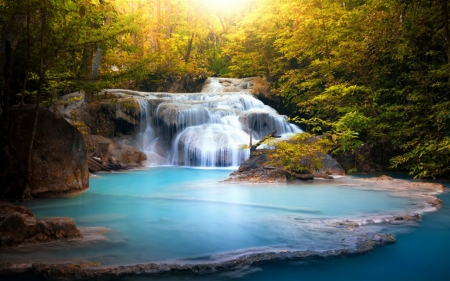 Forest Waterfalls