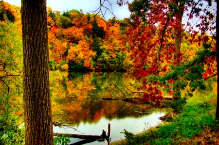 Fall colors - river, nature, autumn, Fall, colors, forest, foliage